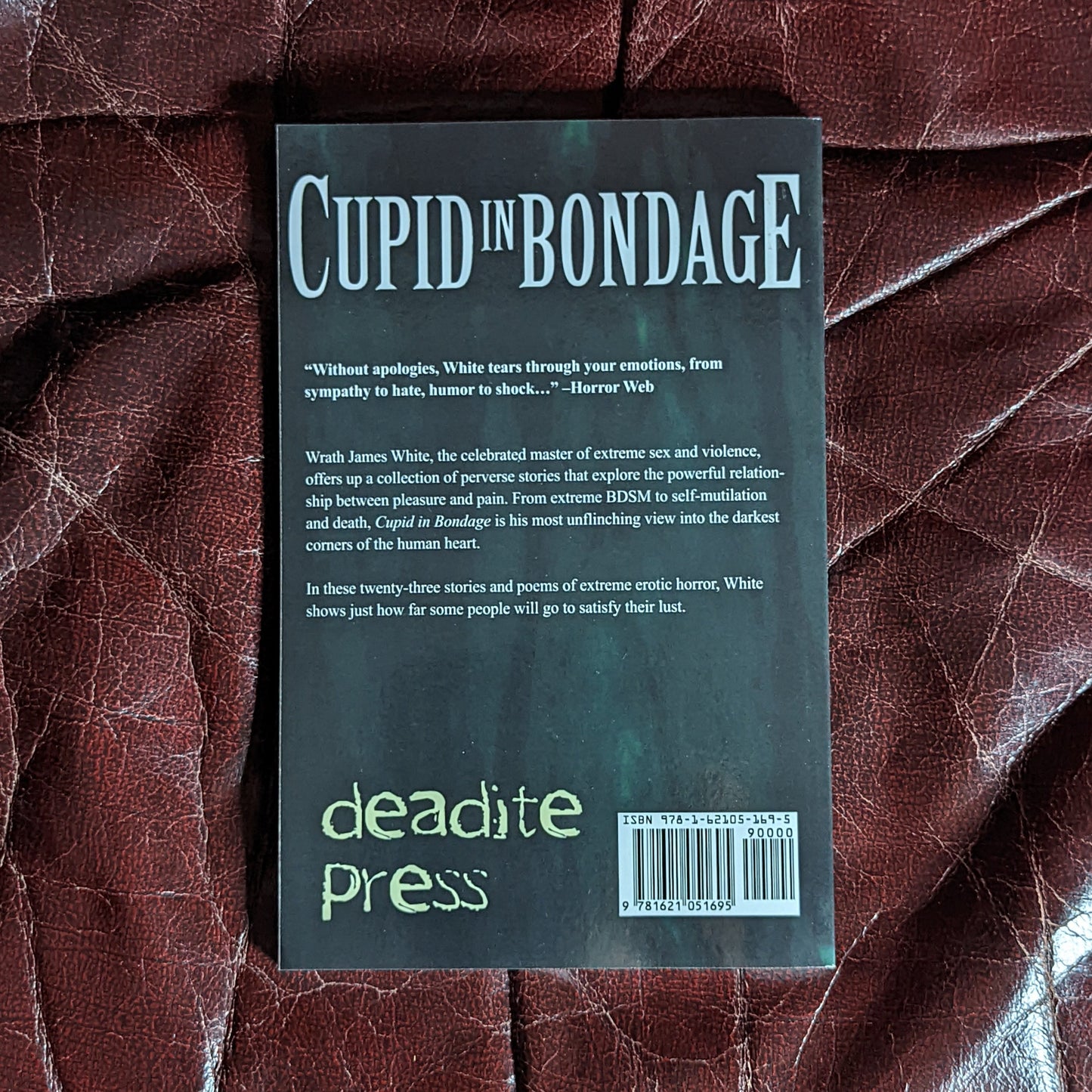 Cupid in Bondage