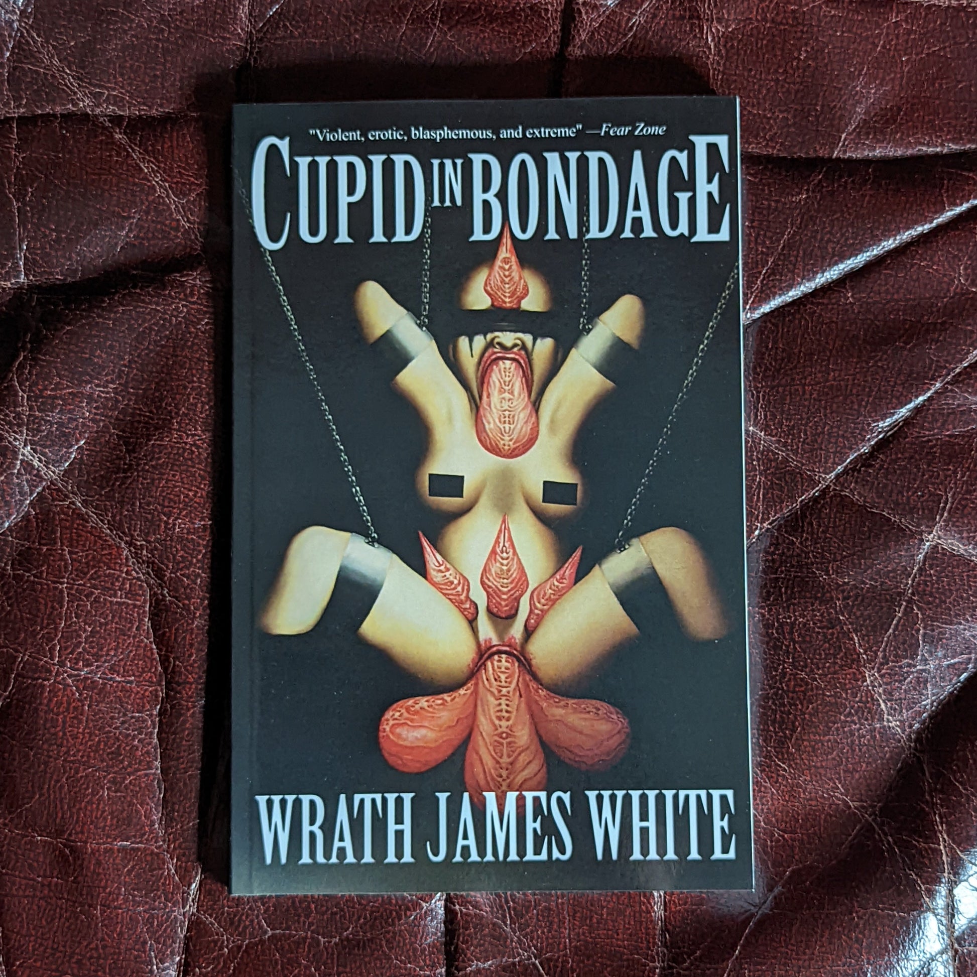 Cupid in Bondage