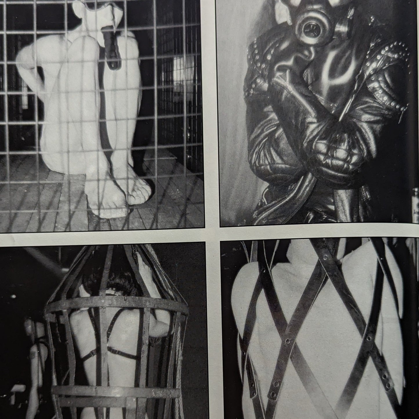 Torture Garden: From Bodyshocks to Cybersex