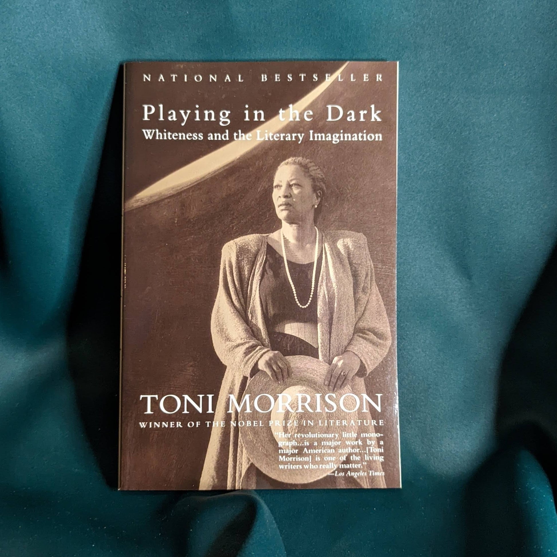 Playing in the Dark: Whiteness and the Literary Imagination